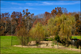 Fall colors on display at Bayne Park in Harding Township, NJ.