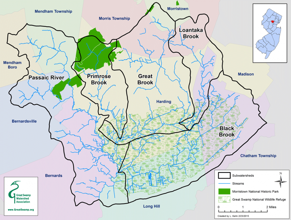 Great-Swamp-Watershed-8-940x709 - GSWA