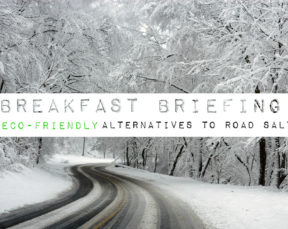 Are there eco-friendly alternatives to road salt?