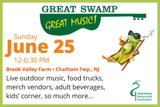 Great Swamp Great Music Festival 2023 - GSWA